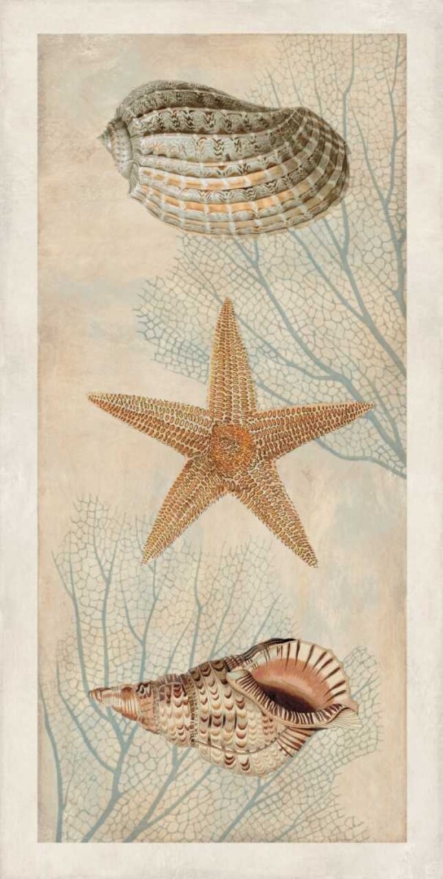 Ocean Companions I by Deborah Devellier - Item # VARPDXDDV7412